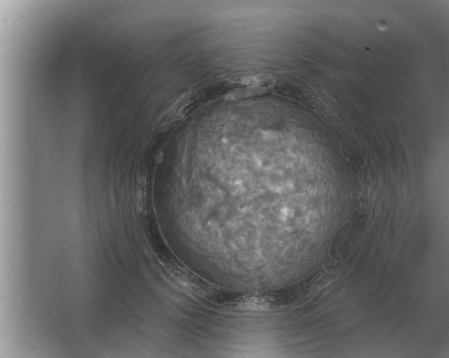 X0000063510656200602032045