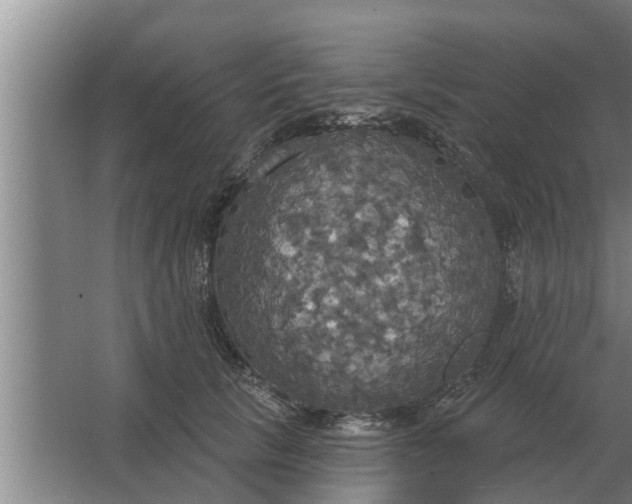 X0000063510657200602032045