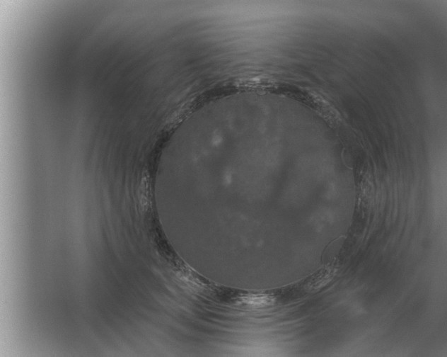 X0000063510659200602032045