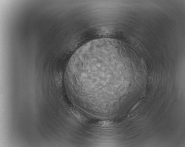 X0000063510660200602032045