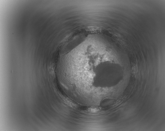 X0000063510662200602032045