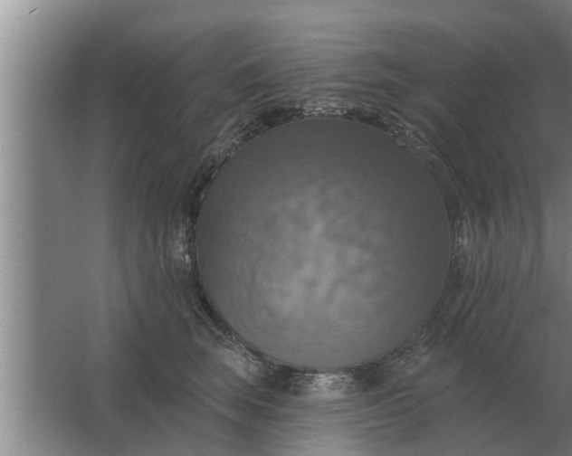 X0000063510663200602032045