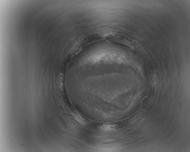 X0000063510664200602032045