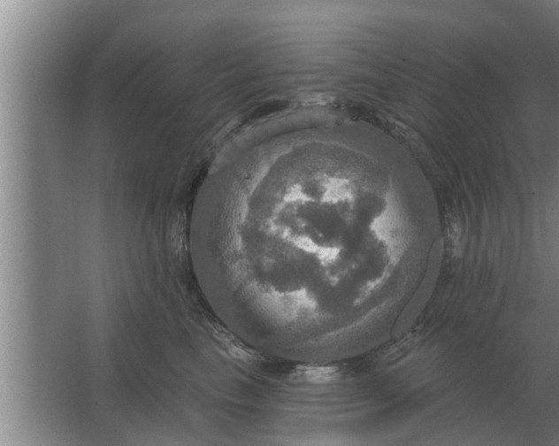 X0000063510665200602032045