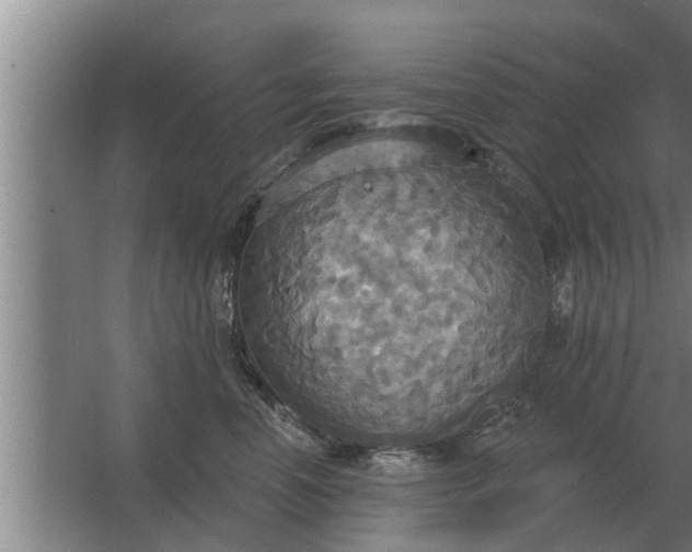 X0000063510666200602032045