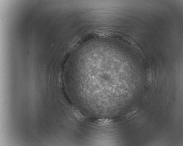 X0000063510667200602032045