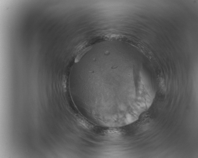 X0000063510668200602032045