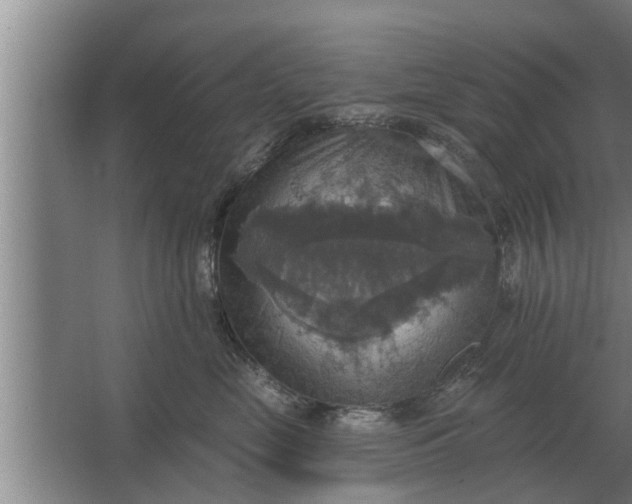 X0000063510669200602032045