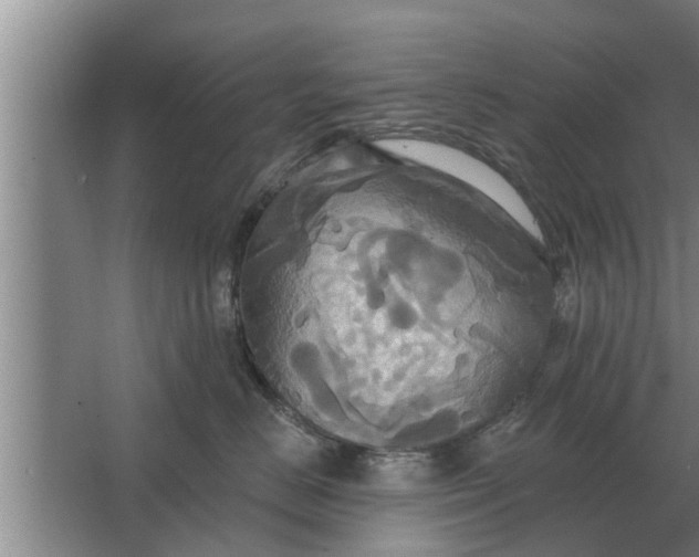 X0000063510670200602032045