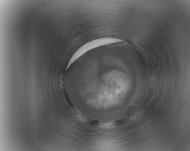 X0000063510671200602032045