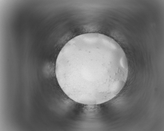 X0000063510672200602032045