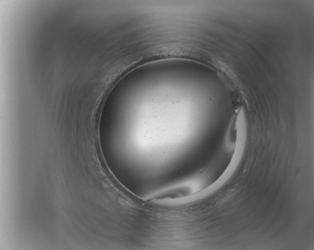 X0000063510673200602032044