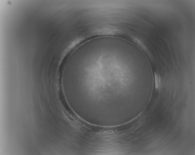 X0000063510675200602032044