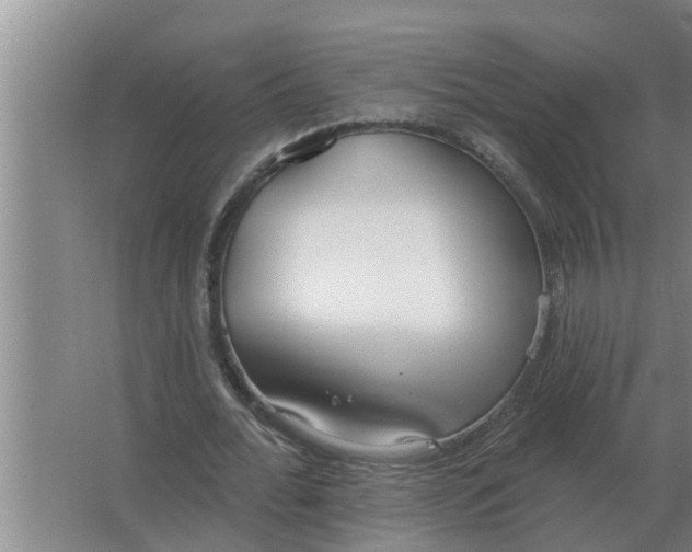 X0000063510676200602032044