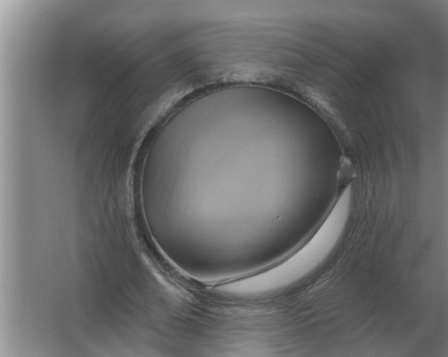 X0000063510678200602032044