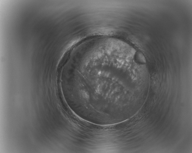 X0000063510679200602032044