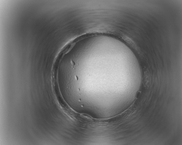 X0000063510680200602032044