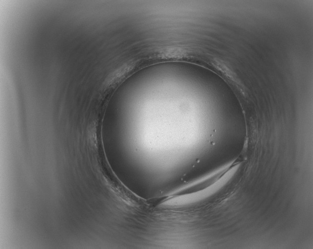 X0000063510681200602032044