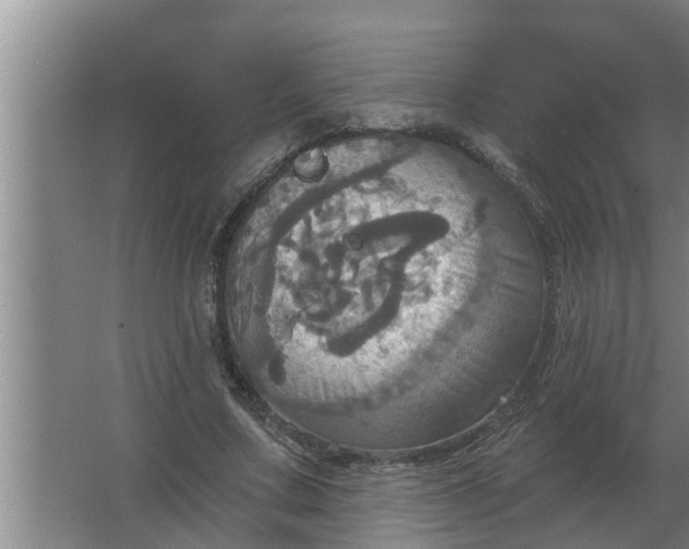 X0000063510683200602032044