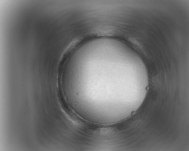 X0000063510686200602032044