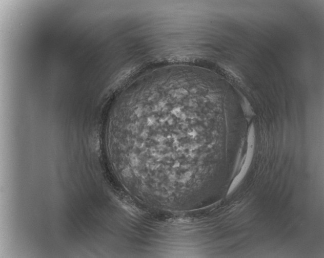 X0000063510687200602032044