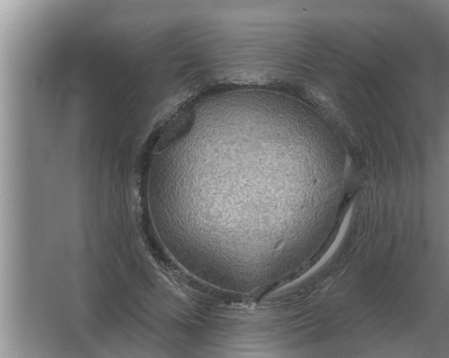 X0000063510688200602032044