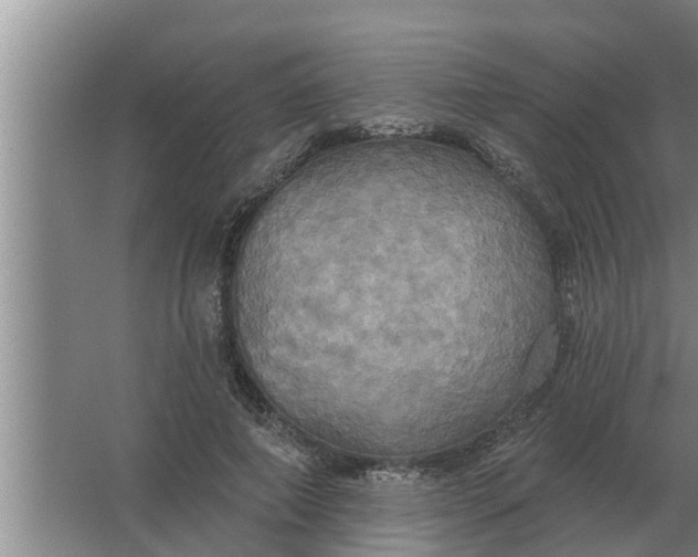 X0000063510690200602032044