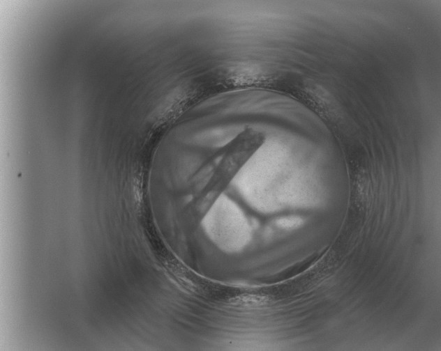 X0000063510691200602032044