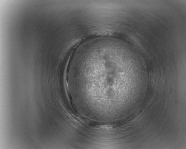 X0000063510692200602032044