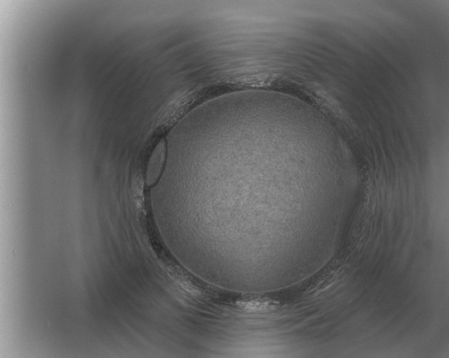 X0000063510693200602032044