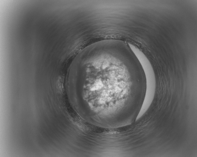 X0000063510695200602032044