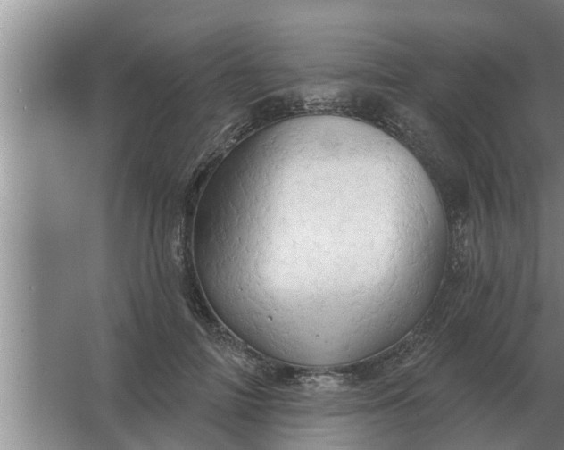 X0000063510698200602032044