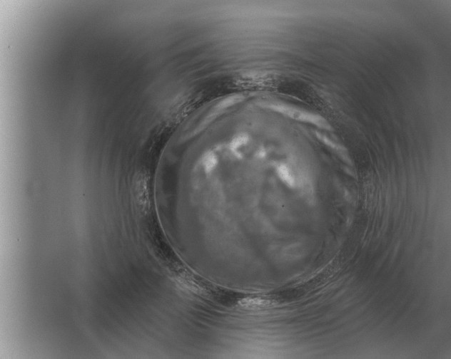 X0000063510699200602032044