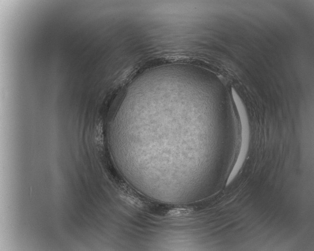 X0000063510700200602032043