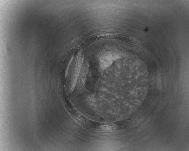 X0000063510703200602032043