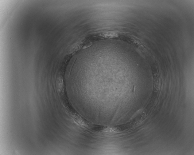 X0000063510704200602032043