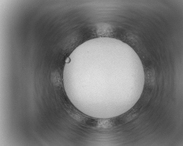 X0000063510705200602032043