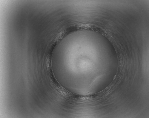 X0000063510708200602032043