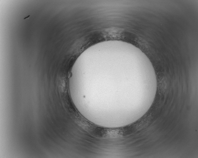 X0000063510709200602032043