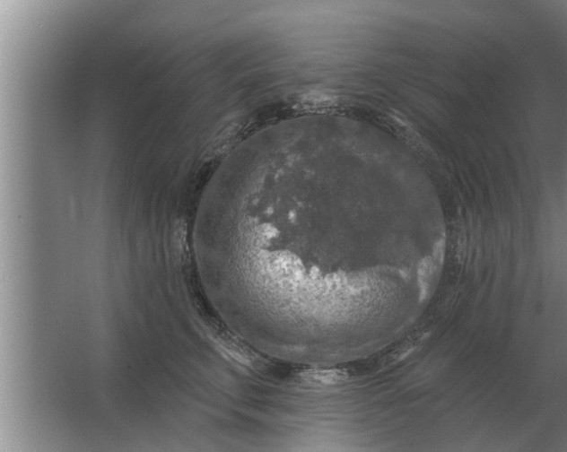 X0000063510711200602032043