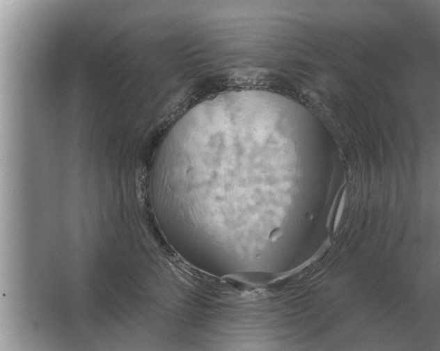 X0000063510712200602032043