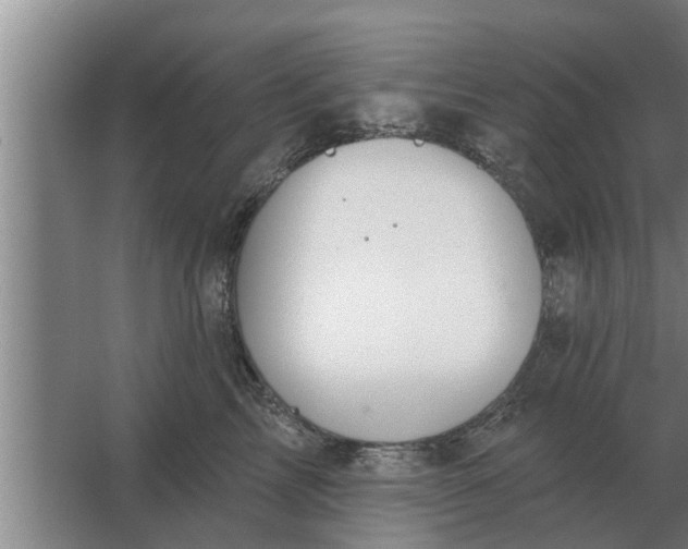 X0000063510713200602032043