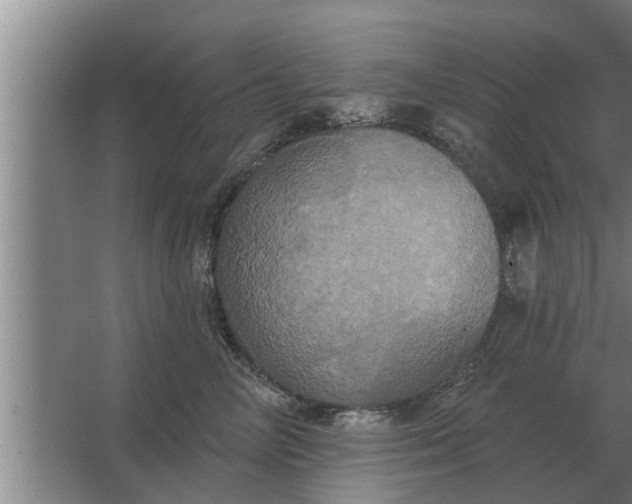 X0000063510714200602032043