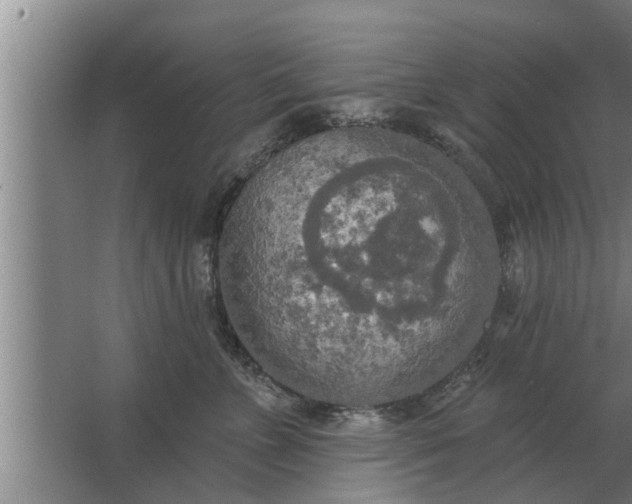 X0000063510715200602032043