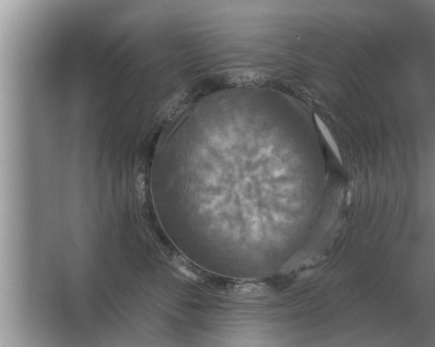 X0000063510716200602032043