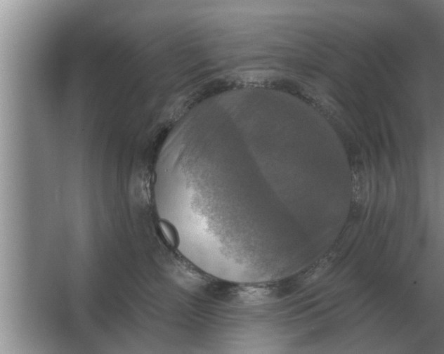 X0000063510718200602032043