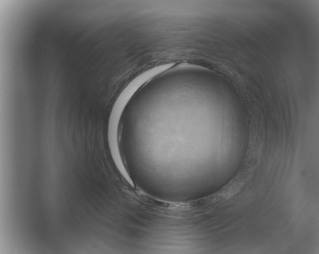 X0000063510720200602032043