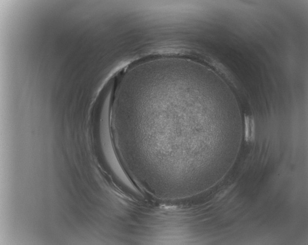 X0000063510723200602032042