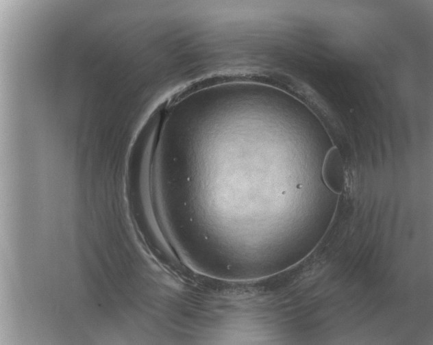 X0000063510724200602032042