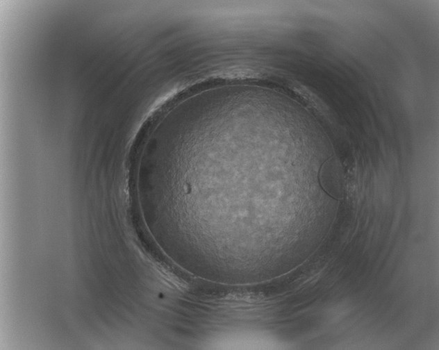 X0000063510727200602032042